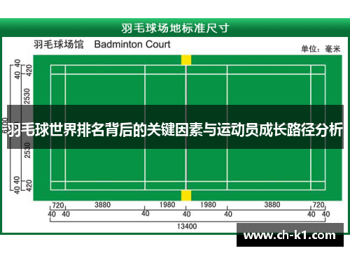 羽毛球世界排名背后的关键因素与运动员成长路径分析 羽毛球世界排名背后的关键因素与运动员成长路径分析